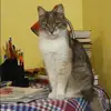 Отзыв от Евгения Коршунова